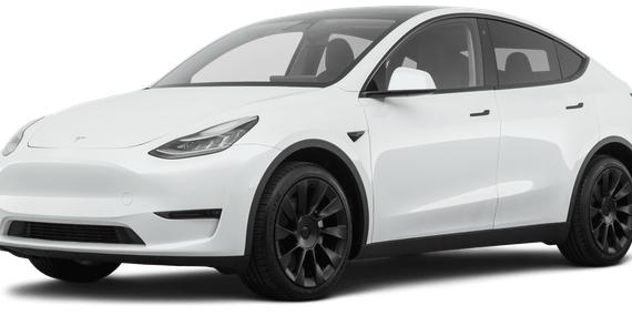 TESLA MODEL Y 2021 5YJYGDEE5MF204228 image